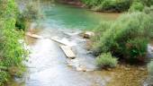 Unión del Río Segura y el río Zumeta, en las Juntas de Miller, este jueves. / Diario JAÉN.