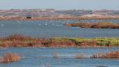 La finca “Veta La Palma” que la Junta va a comprar para ampliar Doñana. / Rocío Ruz / Archivo Europa Press.