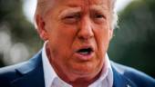 El presidente de Estados Unidos, Donald Trump. / Europa Press.