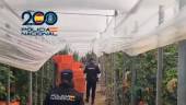 La Policía Nacional inspecciona un invernadero de El Ejido (Almería). / Policía Nacional.