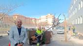 José María Cano visita los trabajos de reforestación urbana. / Ayuntamiento de Jaén.