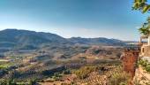 Paisaje de olivar de la Sierra de Segura. / DO Sierra de Segura.