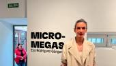 La artista Eva Rodríguez Góngora en la presentación de “Micromegas”. / Álvaro Guzguti / Diario JAÉN. 