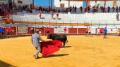 LIDIA. Un novillo-toro en la plaza tras realizar el recorrido tradicional del encierro. / Juanfran Paredes / Diario JAÉN. 