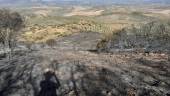 Imagen del terreno tras apagar las llamas / Infoca.