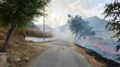 Imágenes del incendio que ha tenido lugar en el Camino del Calvario en Jamilena. / Ayuntamiento de Jamilena. 