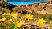 Fotografía de ediciones anteriores. / Diputación de Jaén. 