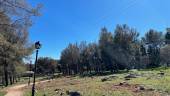 Espacio en el que se situará el parque multiaventura durante la fase de estudio fitosanitario. / Elisabeth Ruiz / Diario JAÉN. 