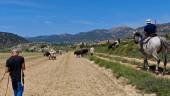 Por la Loma de La Casica, cerca ya del Cortijo las Nogueras, / Diario JAÉN.