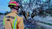 Bomberos apagan el fuego en una parcela junto a la carretera de Fuerte del Rey.