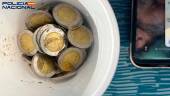 Monedas falsas de dos euros procedentes de China ofertadas por dos detenidos en Huelva en una app de mensajería. / Policía Nacional.