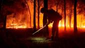Un bombero trabaja para impedir que el incendio se propague en Carcastillo, Navarra. / Eduardo Sanz / Europa Press.