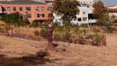 Imagen del lugar donde está la fosa 548 en el cementerio de San Eufrasio, donde se prevé el inicio de los trabajos.