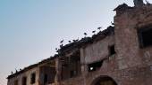 Cigüeñas en lo alto de la Casa Palacio de los Condes de Torralba, en Torrequebradilla, una estampa bastante inusual.