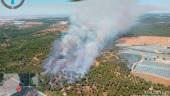 Incendio declarado en el paraje la Cruz del Arpa de Moguer. 