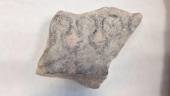 Molde de piedra para la producción de moneda hallado en el yacimiento de Obulco, en Porcuna. / UJA.