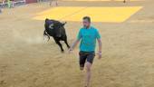 Los encierros en Navas de San Juan se desarrollaron con una gran afluencia de público que contribuye a mantener las costumbres de la tierra que le vio nacer. / Jason Moyano / Diario JAÉN.