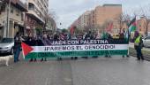 Manifiestación para apoyar al pueblo Palestino. Archivo. / Diario JAÉN.
