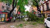 Corte en la calle San Jacinto de Sevilla tras la caída de un árbol por las rachas de viento debido a la borrasca. / Francisco J. Olmo / Europa Press.