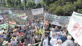 PROTESTA. Manifestación por la defensa del olivar con miles de agricultores en las calles.
