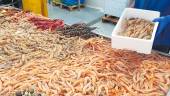 Aumenta la exportación de mariscos en la provincia. 