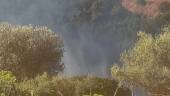 Incendio declarado en la Finca Cetrina, en Navas de San Juan. / Infoca. 