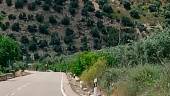 Lugar de los hechos en la carretera A-6204. 