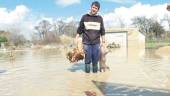 Un vecino de Mengíbar muestra un cerdo y varias gallinas muertas después de la crecida del río a su paso por el municipio. / Archivo Histórico de Diario JAÉN.
