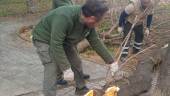 Operarios limpian y recuperan los parques y zonas verdes de la ciudad. / Ayuntamiento de Jaén.