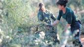 Jenifer Cano Vergara (29 años) y su madre, Elisa María Vergara, acuden a una explotación familiar para triturar las ramas de los olivos, una práctica habitual en el campo una vez que termina la recolección de la aceituna. / Diario JAÉN.