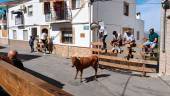 Espectadores observan a los animales desde la barrera. / Adrián Claudio / Diario JAÉN. 