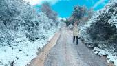 La nieve asediaba un camino en la zona de El Camello, en Ermita Nueva. / Archivo Histórico de Diario JAÉN.