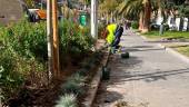 Plantación de los parterres en la Avenida de Andalucía. / Ayuntamiento de Jaén.
