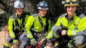 Efectivos de Bomberos junto a Tini, la perra rescatada. / Ayuntamiento de Jaén.