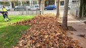 Labores de retirada de hojas tras las lluvias y bajadas de temperaturas registradas en las últimas semanas. / Ayuntamiento de Jaén.