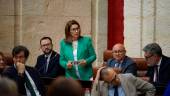 La parlamentaria autonómica del PP por Jaén, Lola Martín. Archivo.