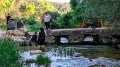 LA IRUELA. El Río Guadalquivir, a su paso por Arroyo Frío.