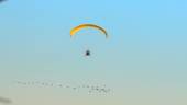 Uno de los parapentes abre la ruta hacia Jerez de la Frontera. / Fotografías y vídeo Jason Moyano / Diario JAÉN