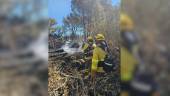 Bomberos forestales del Infoca. Archivo.