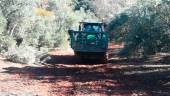 Tractor por la linde de un olivar en Jaén. / Archivo Diario JAÉN.