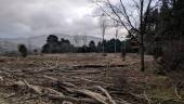 TALA. Ramas y restos de árboles amontonados en el suelo de la pradera junto a las instalaciones del Centro de Cría en Cautividad del Quebrantahuesos.
