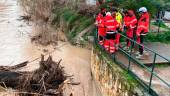 Bomberos retiran un tronco del cauce del río Jaén en Punete Jontoya. Archivo.