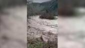 El río Víboras, esta semana. / Facebook de José Miguel Milla. 