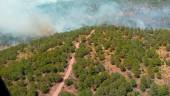 Incendio declarado en Montizón. / Plan Infoca. 