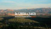 Portada del documental que Canal Sur emite este viernes en Andalucía Televisión. / Canal Sur. 