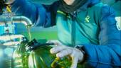 Una de las garrafas intervenidas en la nave de Msairena del Alcor. / Guardia Civil. 
