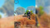 Bomberos del Infoca mientras trabajaban en la extinción del fuego en Baños de la Encina este viernes, 11 de julio, por la tarde. / Infoca. 