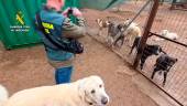 Inspección de la protectora en el marco de la operación “Discrepancias”. / Guardia Civil. 