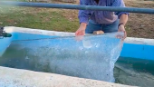 Ángel Muñoz sostiene la capa de hielo de un palmo de grosor que se ha formado en el bebedero.