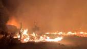 Las llamas calcinan el asentamiento. / Consorcio Provincial contra Incendios y Salvamento de Huelva. / Europa Press.